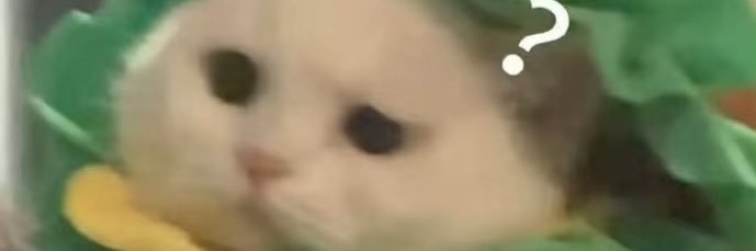 WIWYWYAW's profile banner image