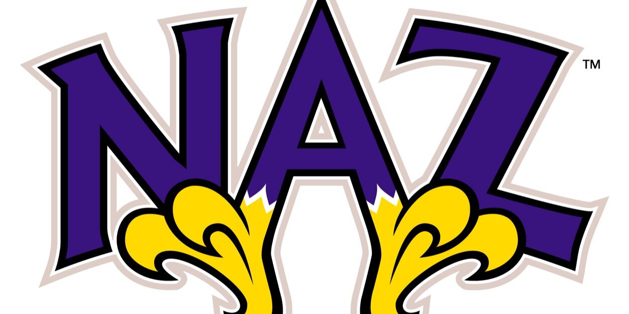Naz_karisa's profile banner image
