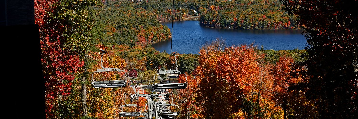 telegramdotcom's profile banner image