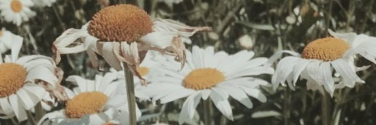 manubastan's profile banner image