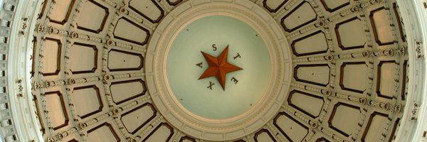 TravisCountyYR Profile Banner