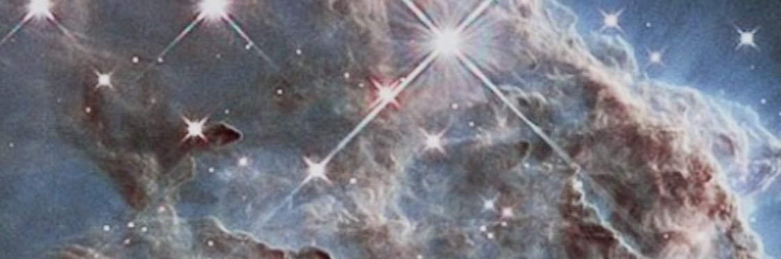 Dirk Diggler banner