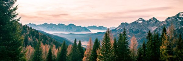 CalmDownTags Profile Banner