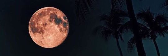 lemec225's profile banner image