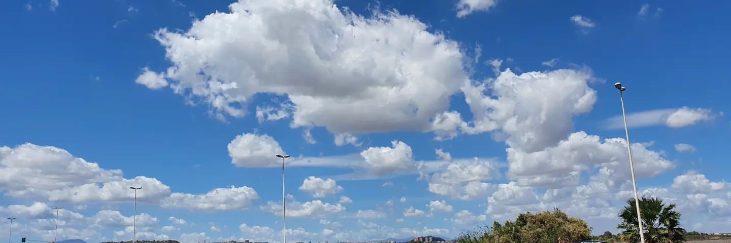 🌟Frankie🌟 banner