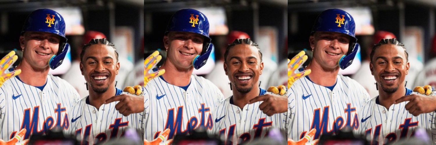 The Last Mets Fan banner