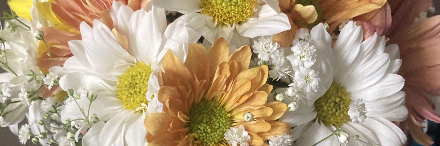 katisunflower_'s profile banner image