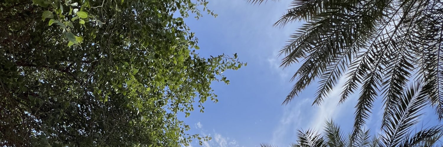 omardadl's profile banner image