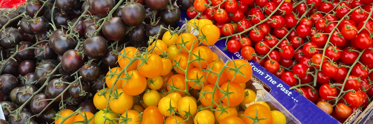 سام وان banner