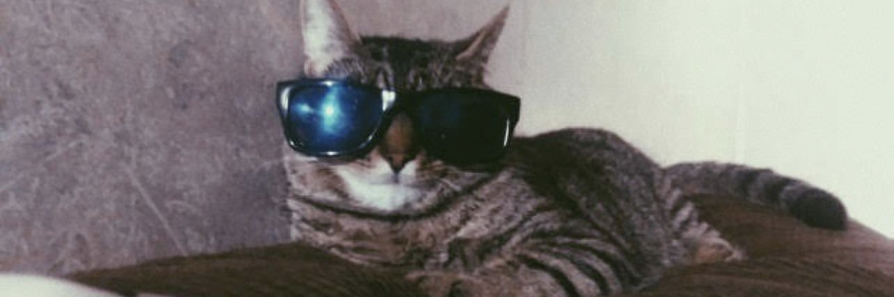 d0m1nn1que's profile banner image