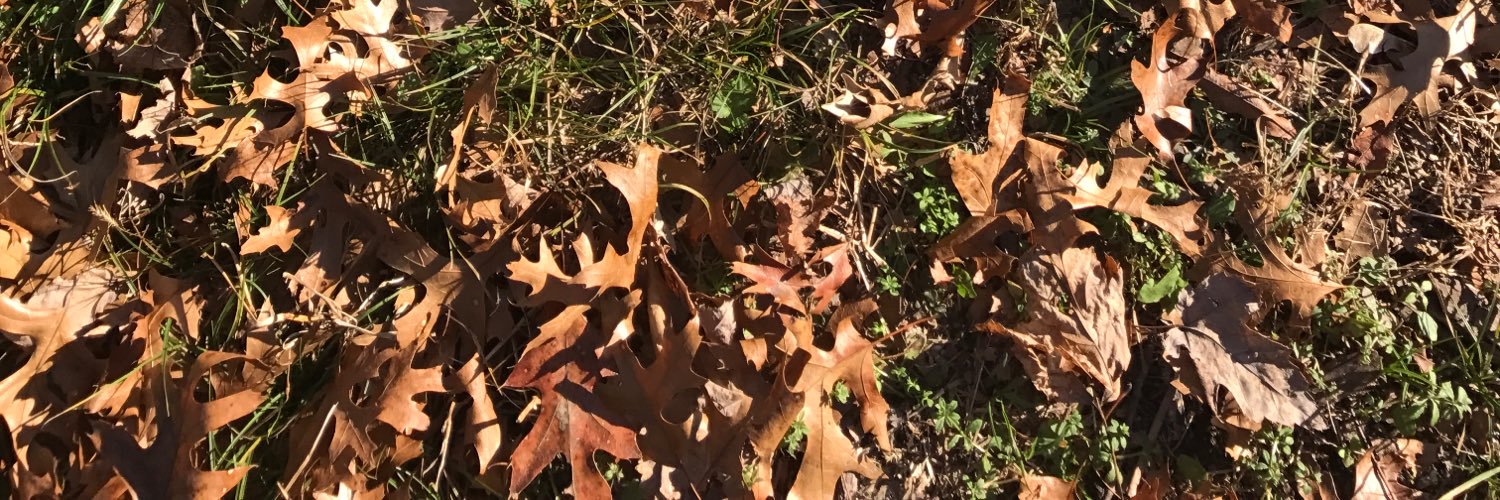 rachfights9's profile banner image