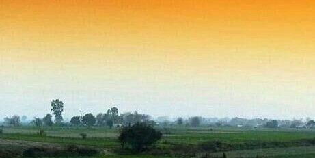 Sonia Chadha-Nihal banner