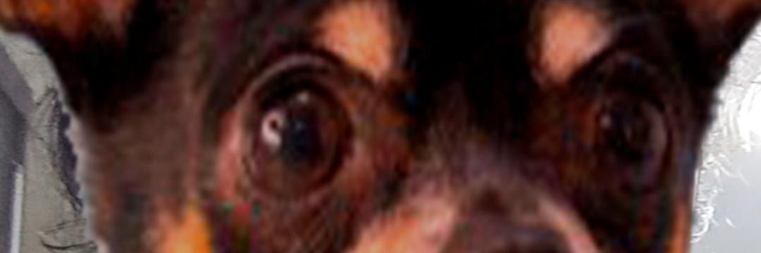marlatttt's profile banner image