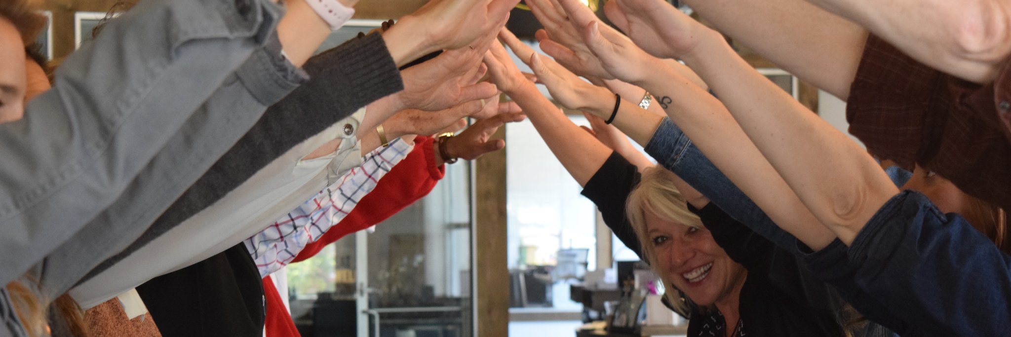 Elizabeth Holmstrom banner