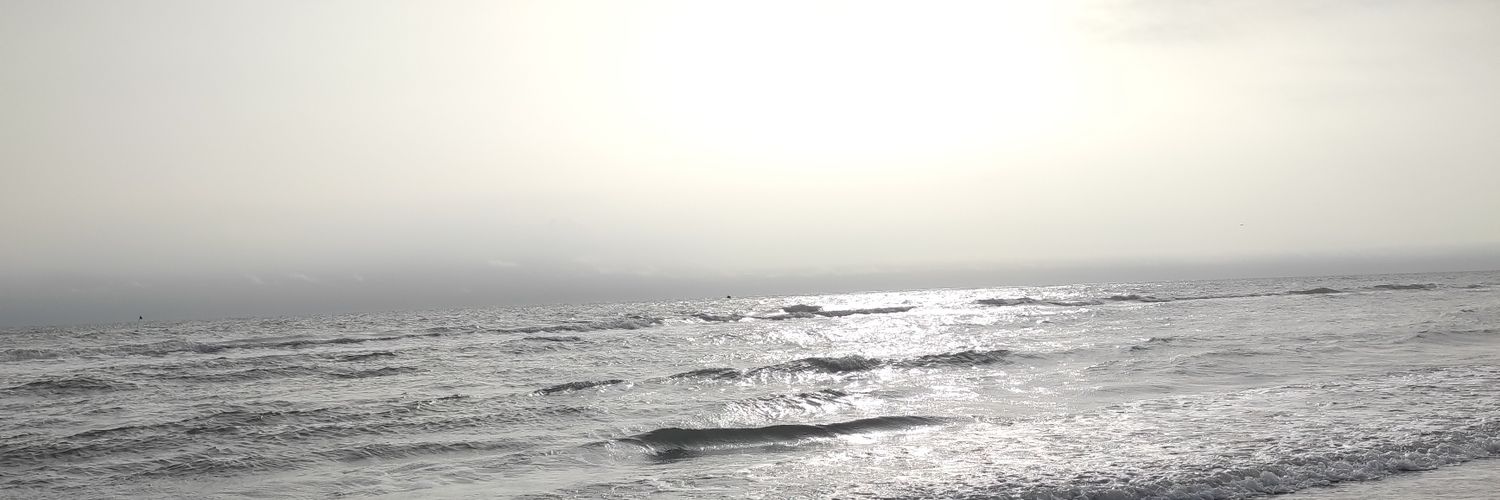 ChicaaTormenta's profile banner image