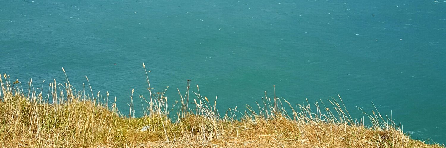 lookitsbeck's profile banner image