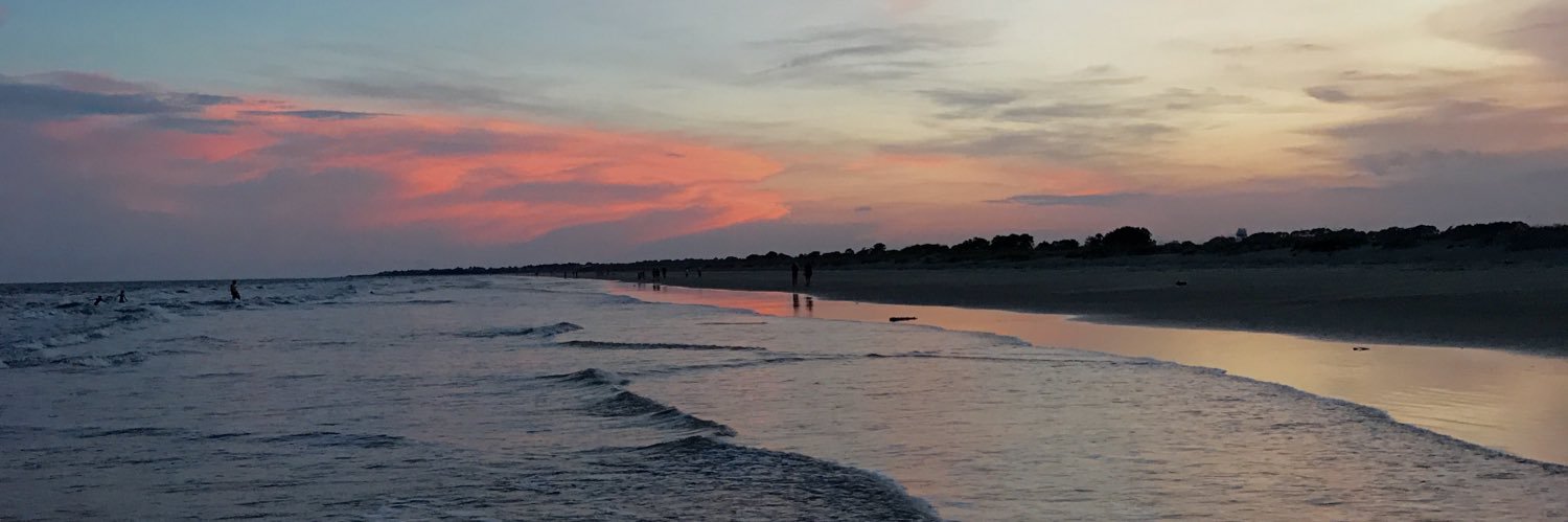 mayasullivann's profile banner image