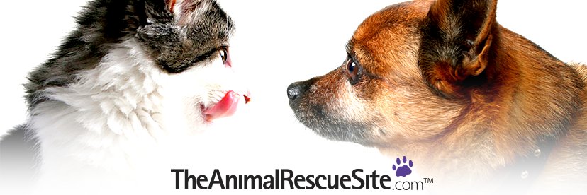 TheAnimalRescueSite's banner