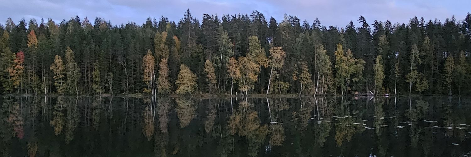 adhdtanja's profile banner image