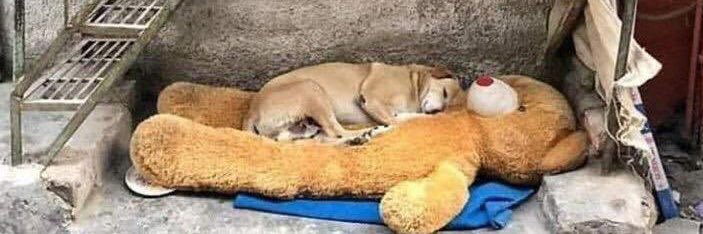 indiamondsw's profile banner image