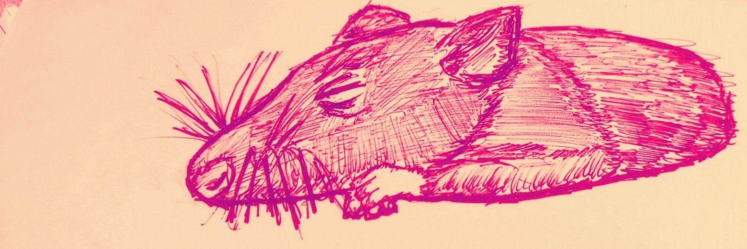bajarvida's profile banner image