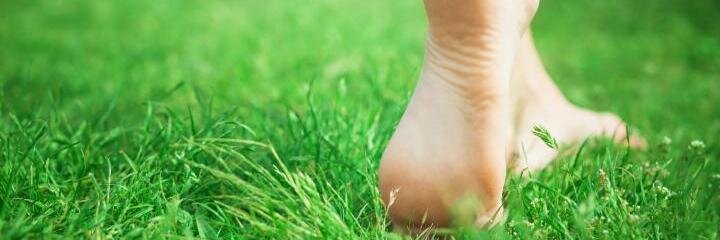 pkc_ar's profile banner image