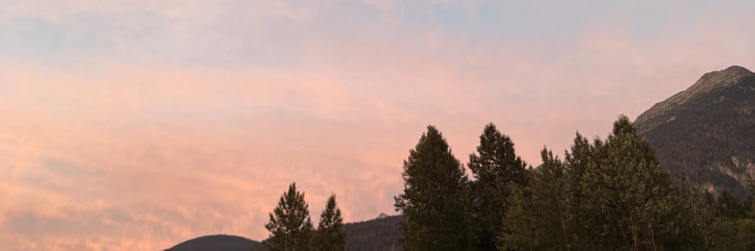 MsSofifi's profile banner image