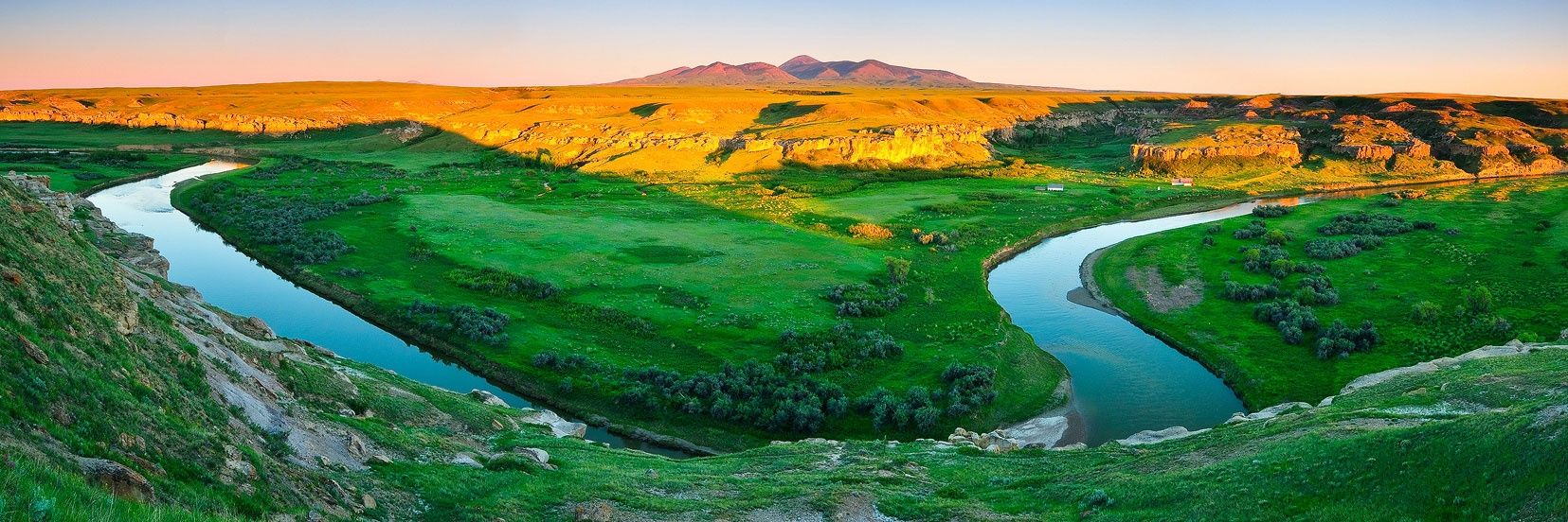 📷🛠🔺️Mike Isaak🔺️🐓🐶 banner