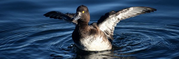 AndySeddon74 Profile Banner