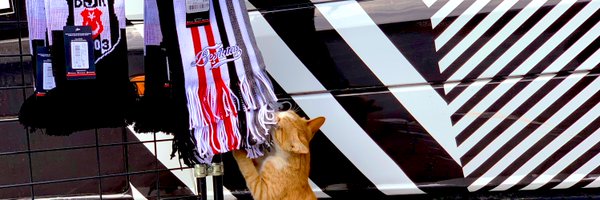 mazda16 Profile Banner