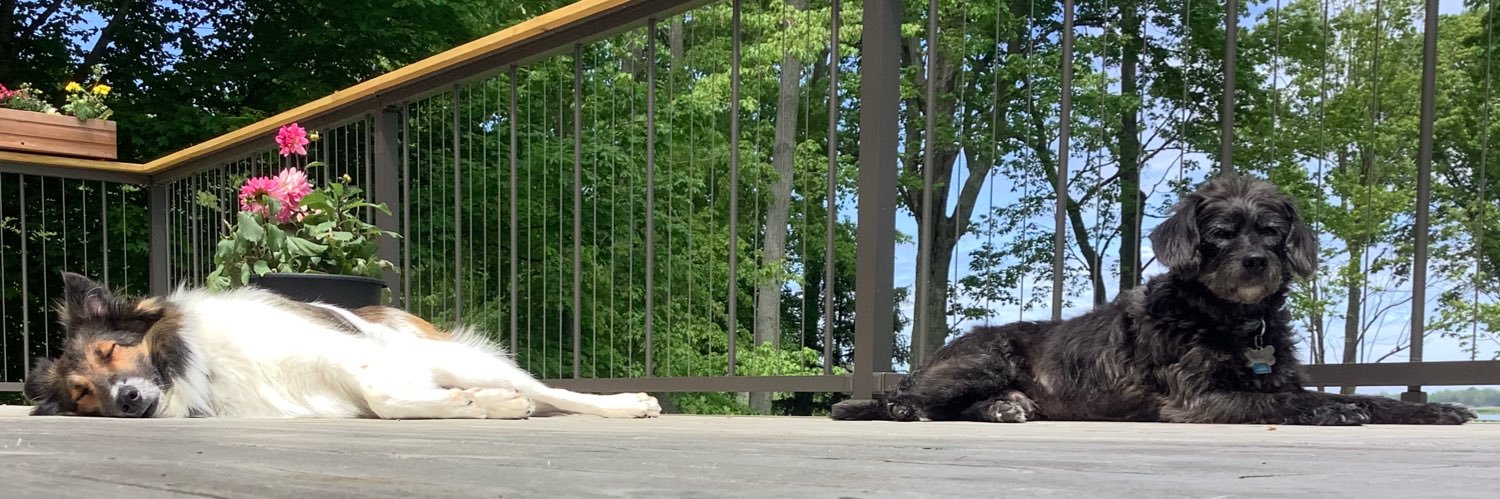 Retired School Librarian banner