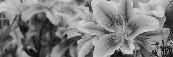 deroutsider115 Profile Banner