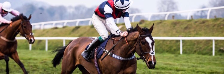 ste_totty's profile banner image