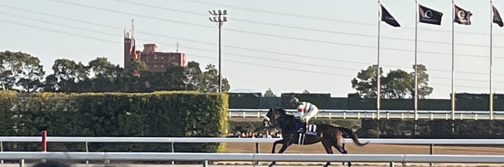 もり/シックスペンス推し〈競馬歴4年〉 banner