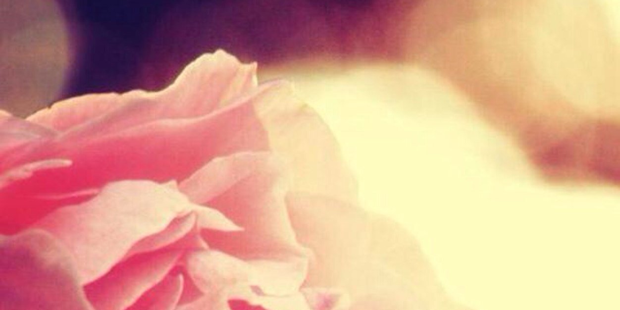 Jordirose's profile banner image