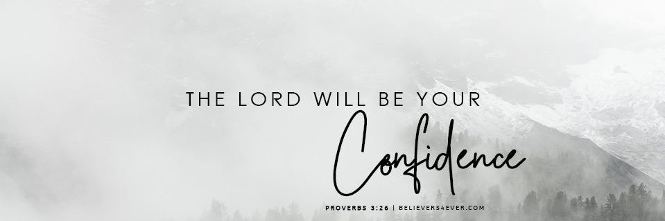 Rachel McLimore banner