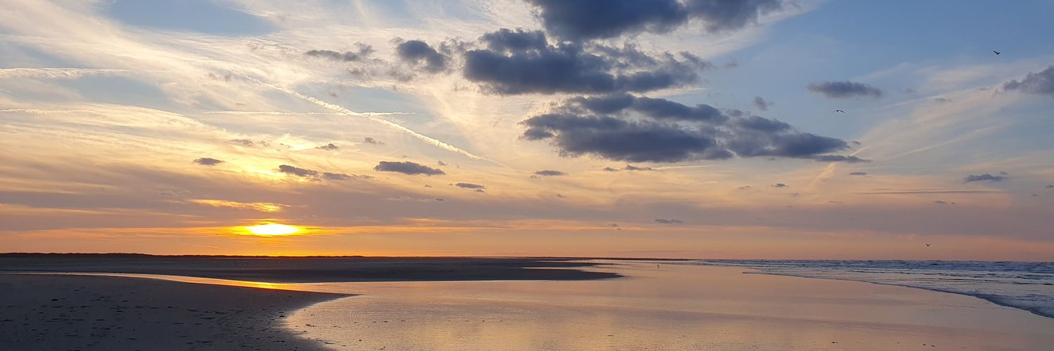 Simon Westerhof banner