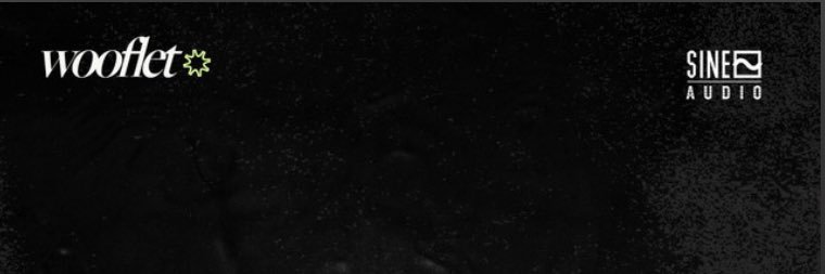 woofletdnb's profile banner image