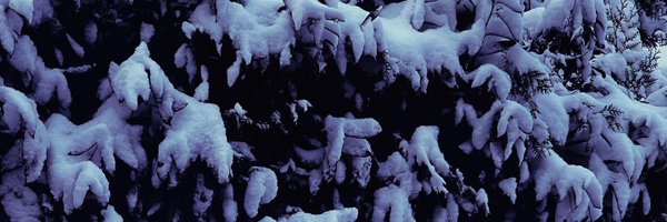 Cheryl_Prime Profile Banner