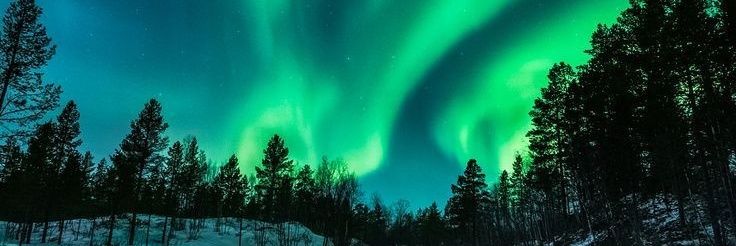 Shivangi👁️🔱 banner