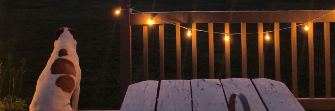Seve banner