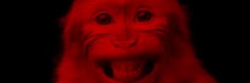 IceSpiceUpdates's profile banner image