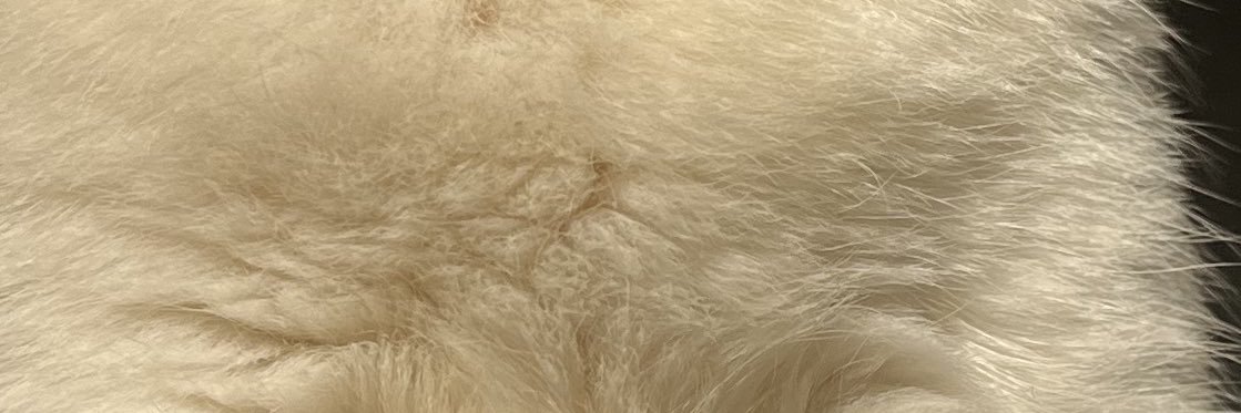 yuzzz_ka's profile banner image