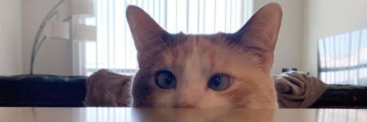 bxamzyy's profile banner image