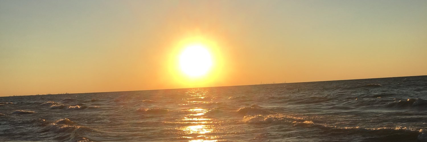 Stephen Hausmann banner