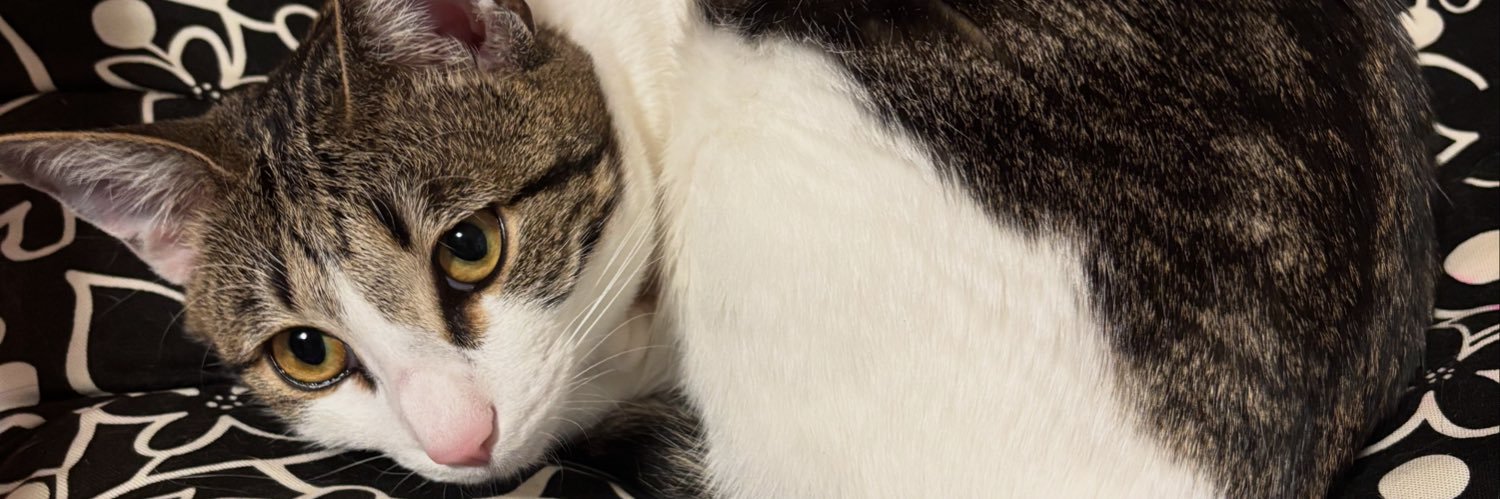 ナリー（とよだお） banner