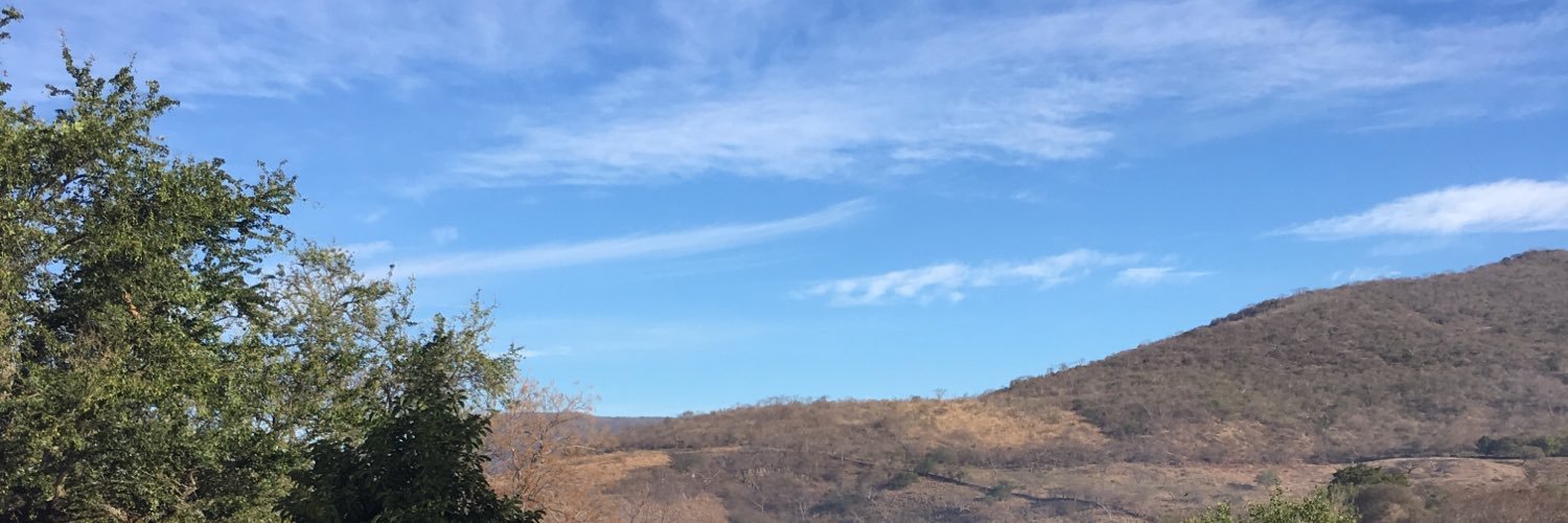 ludogupa's profile banner image