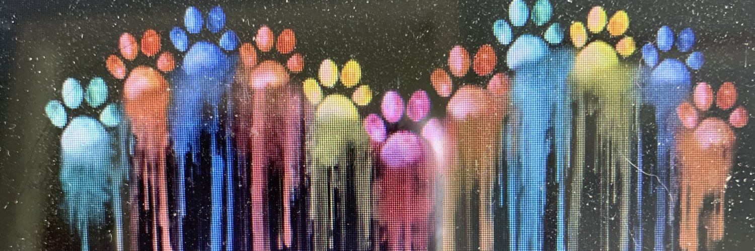 TeriColMo's profile banner image