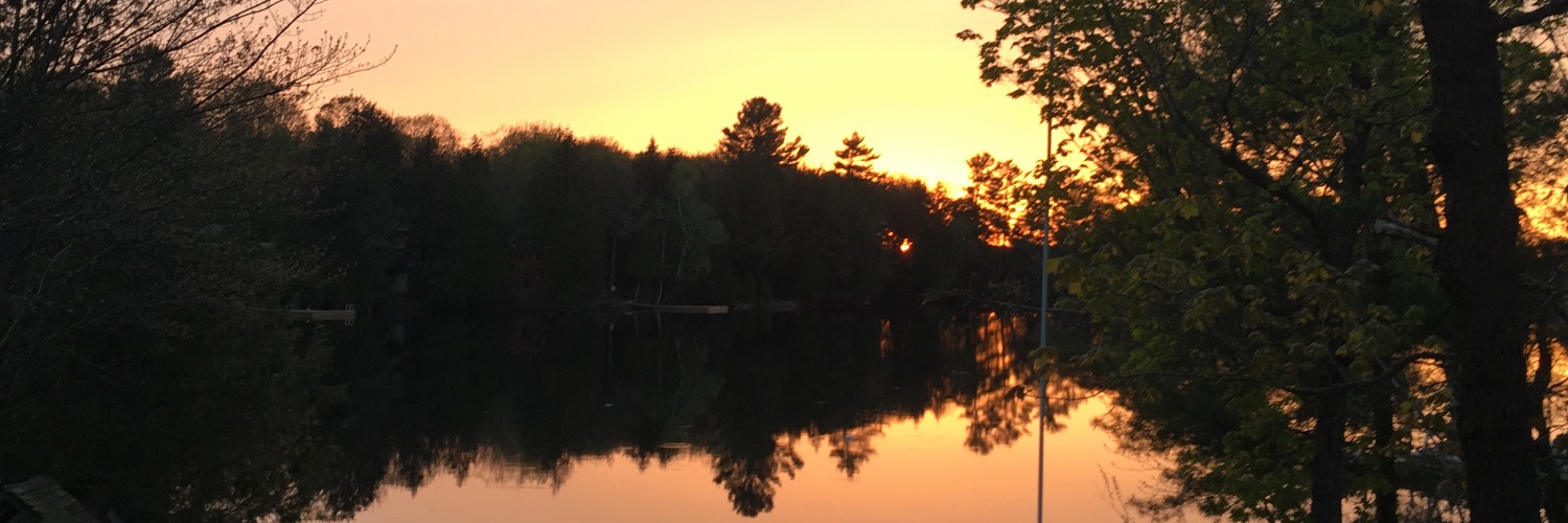 Pattyfromtheno2's profile banner image