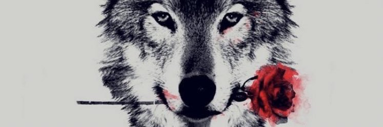 SLuReD1's profile banner image